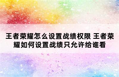 王者荣耀怎么设置战绩权限 王者荣耀如何设置战绩只允许给谁看